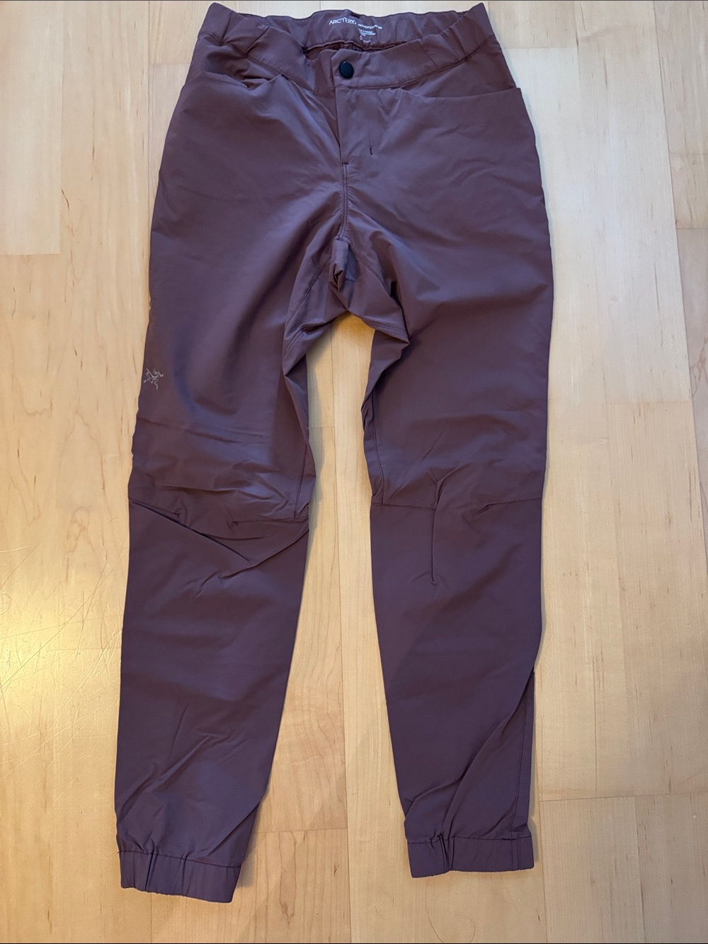 EUC Arcteryx Lightweight Pants